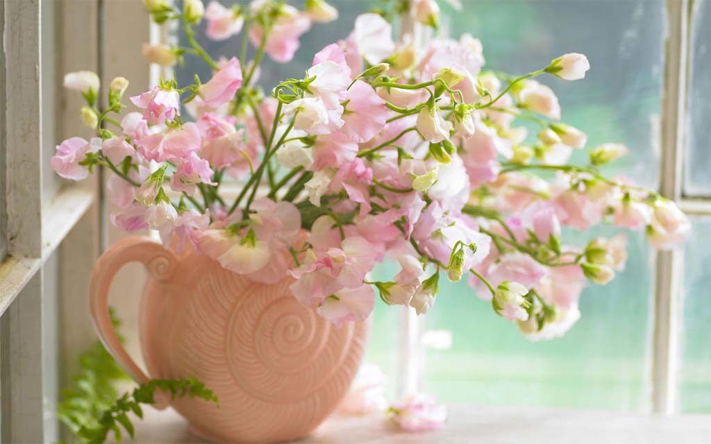 pea flower arrangements in ceramic pot