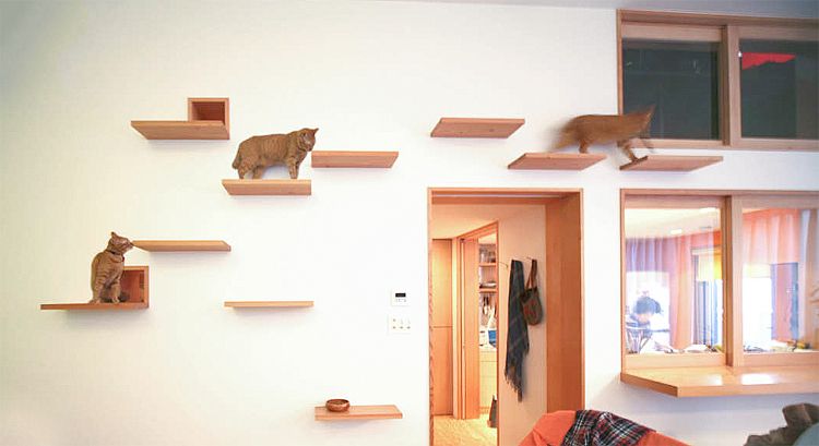 Cat Walkway-cat-friendly