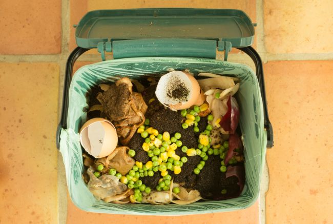 compost waste for an eco-friendly home