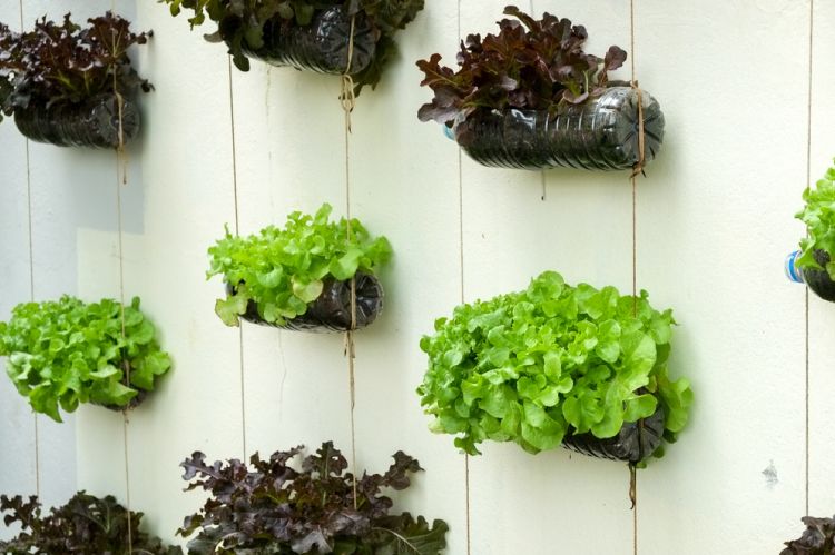 5 Creative Diy Ideas To Grow A Vertical, How To Make A Vertical Garden Using Plastic Bottles
