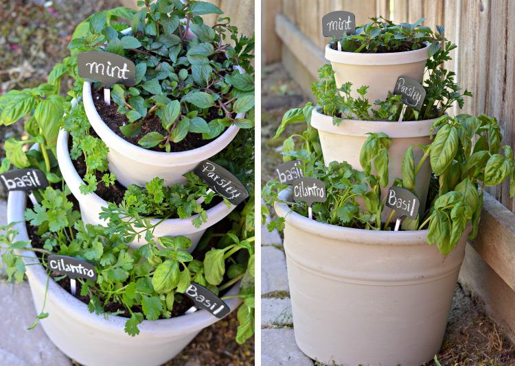 5 DIY Vertical Garden Ideas For Your Home