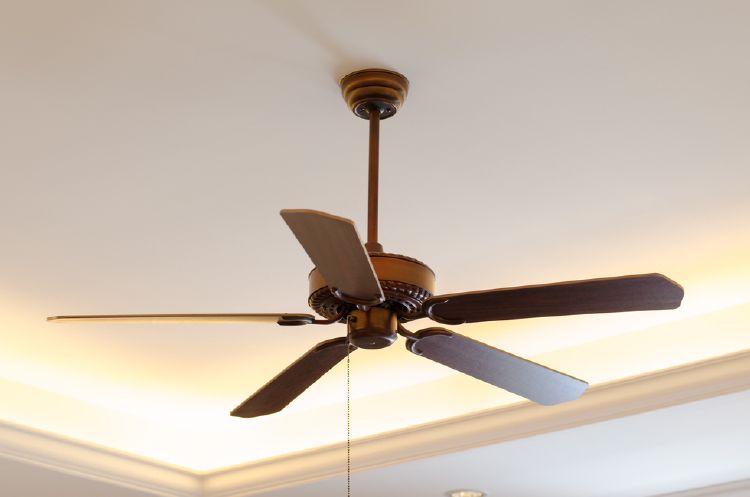 Reverse the direction of your fan blades to ensure your room stays warm.