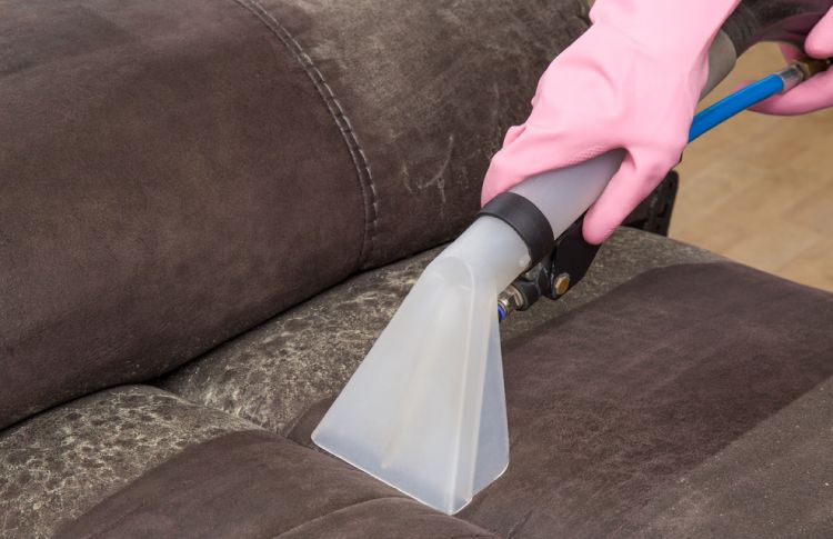 For a clean leather sofa, vaccum regularly to remove dust and grime. 