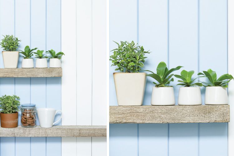 open kitchen shelves