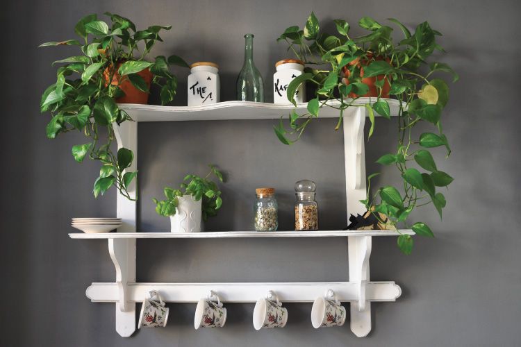 open kitchen shelves