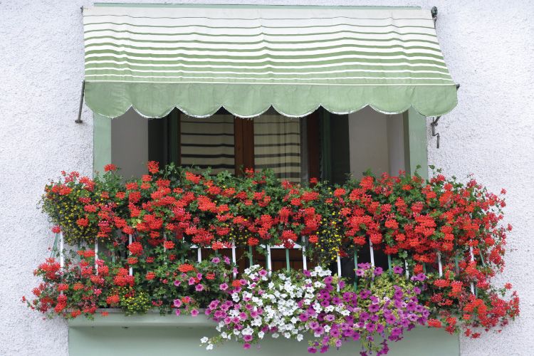 Balcony decor ideas for Valentine's day