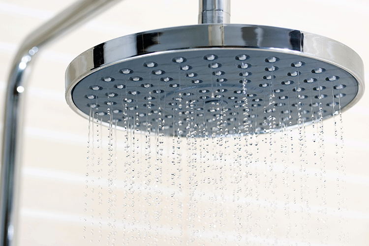 types of shower heads 