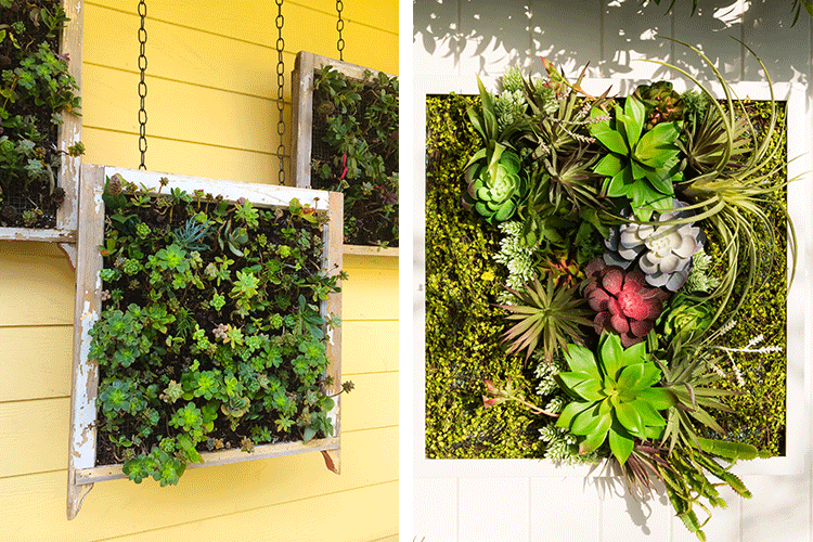 succulent decorating ideas 