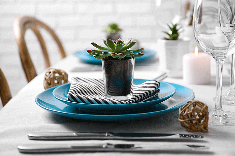 succulent decorating ideas