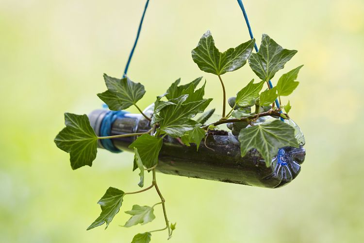 DIY planters