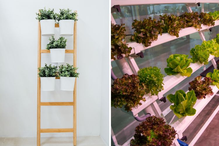 Wall planters