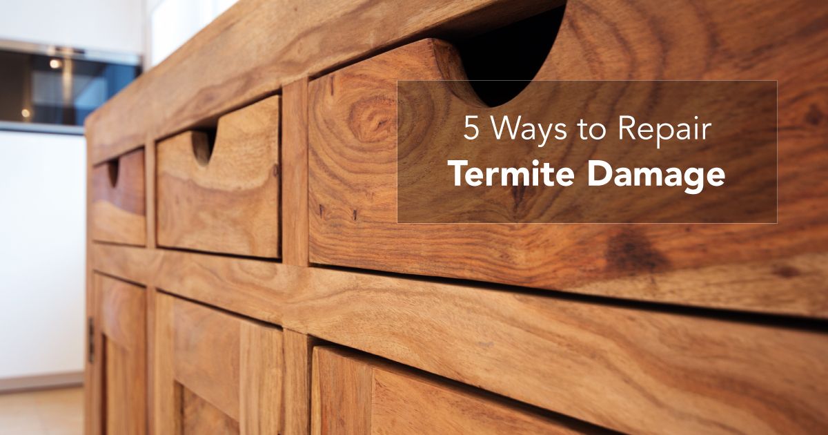 How To Keep Your Furniture Termite Free - How To Get Rid Of Termites In Kitchen Cabinets How To Keep Your Furniture Termite Free - How To Get Rid Of Termites In Kitchen Cabinets