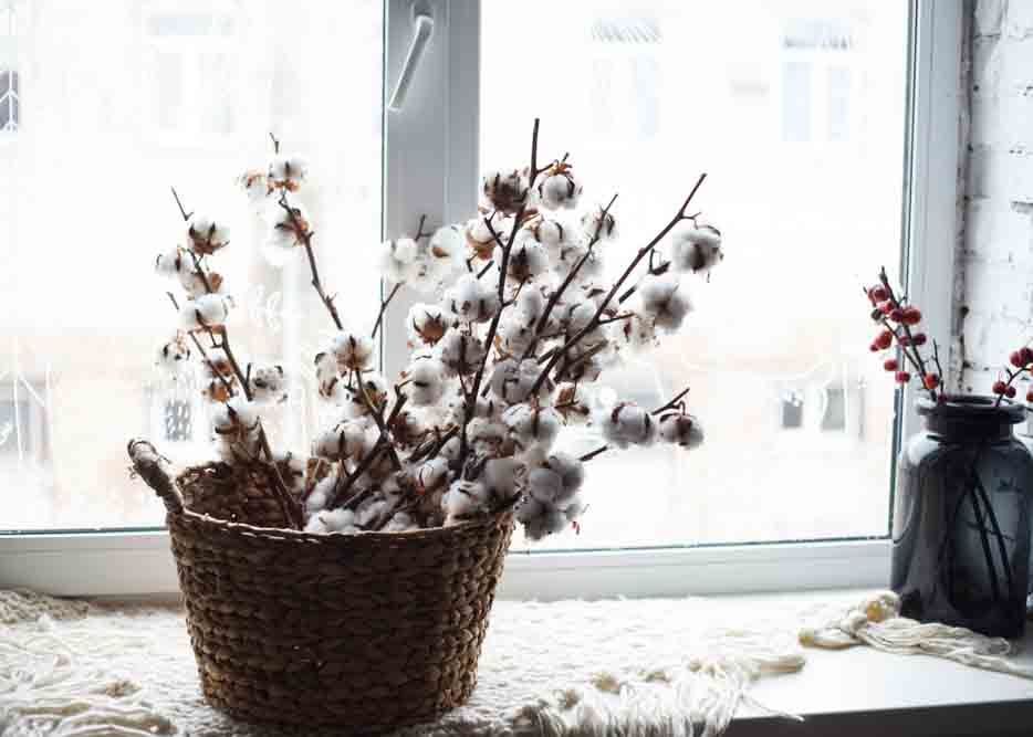 vastu shastra for home_cotton