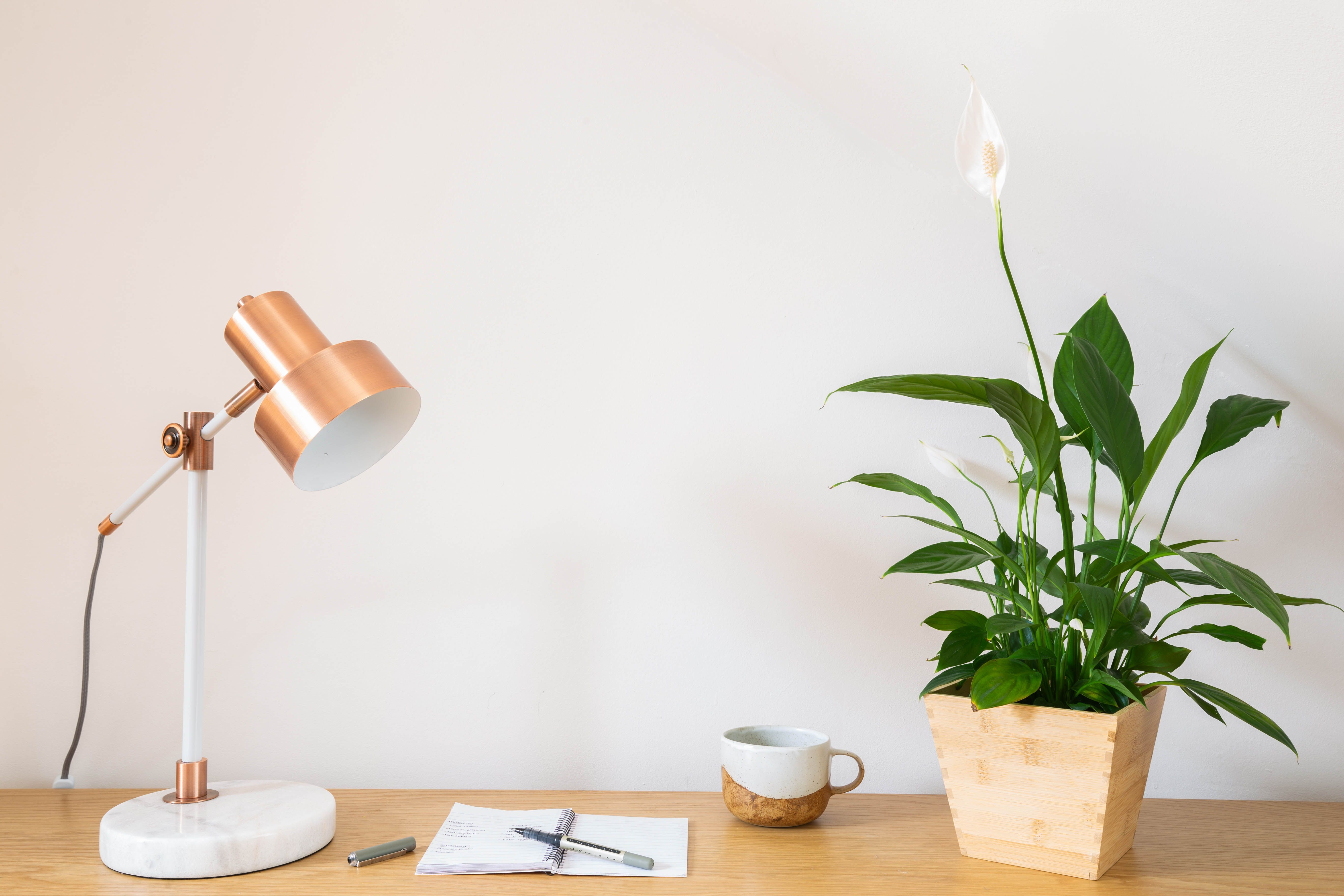 office plants-peace lily-purifies air-dark green leaves