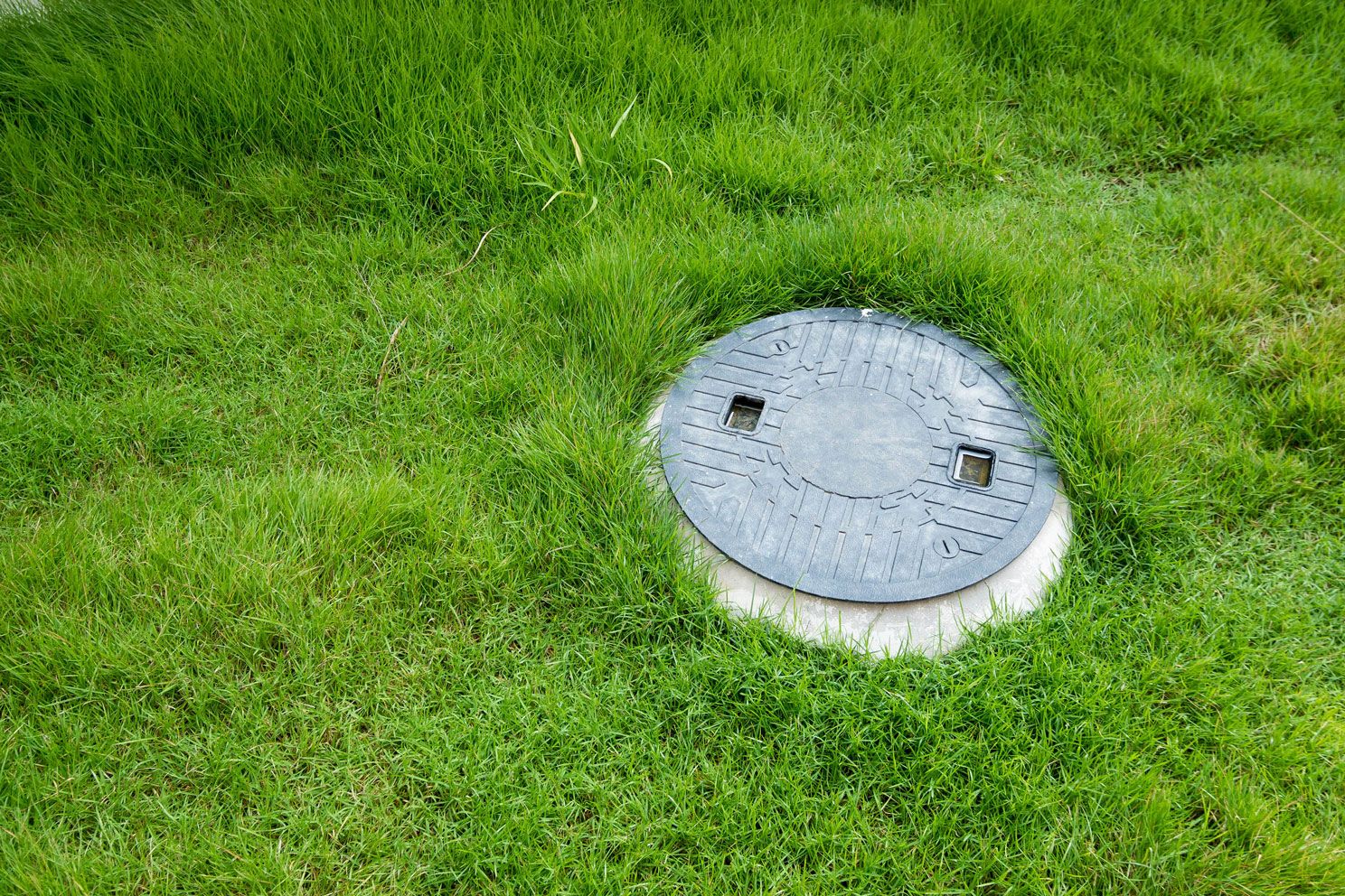 basic vastu for home-septic tank-grass-greenery