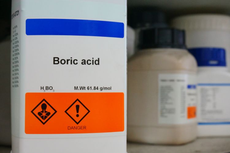 cockroaches-boric acid-boric powder-borax