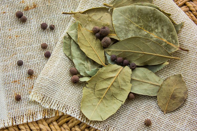 cockroaches-bay leaves-crushed bay leaves-dry bay leaves