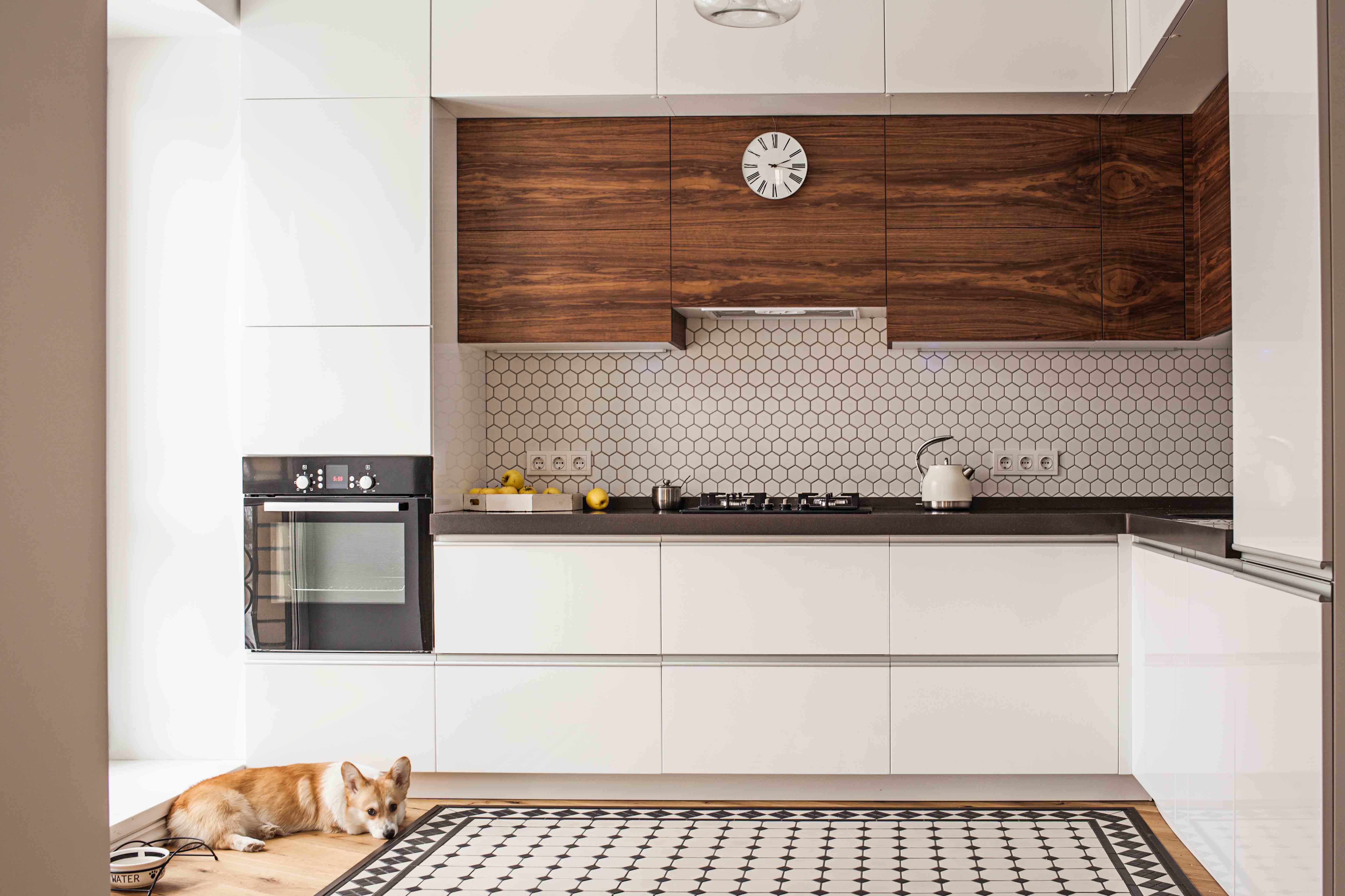 Pet Friendly Flooring Options That Are