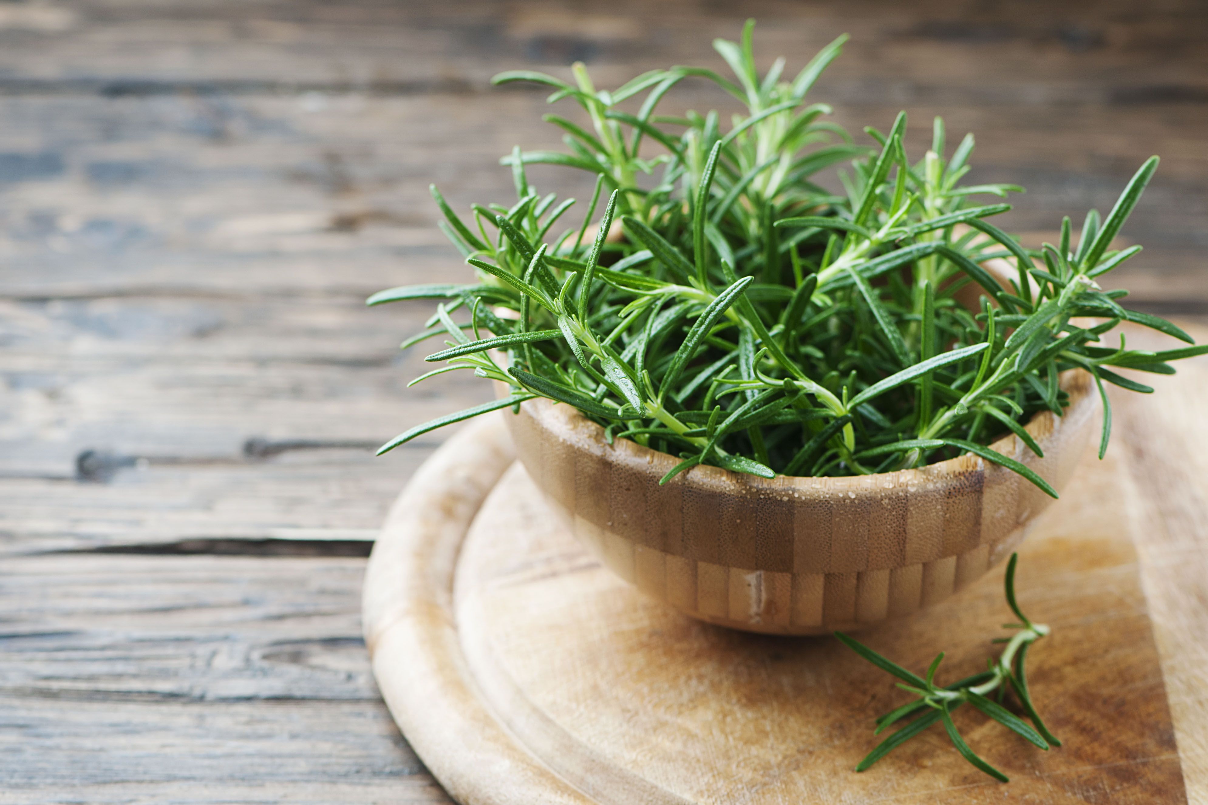 plants that keep bugs away-rosemary-leaves-bowl