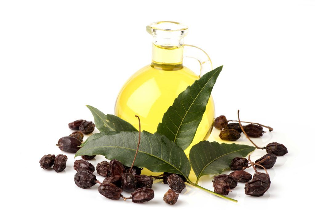 natural pesticides-neem oil