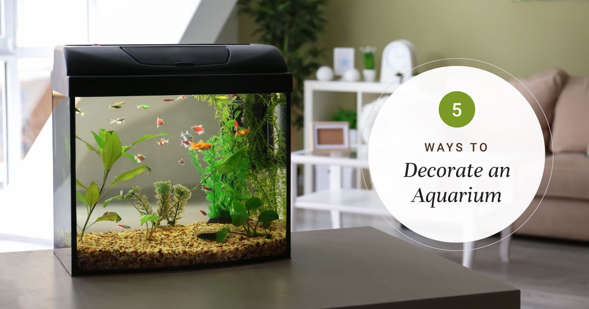 How to Make Aquarium Decor That is Fish-friendly
