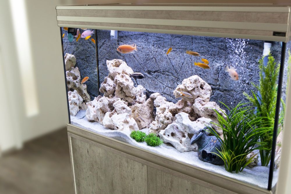 Jainsons Pet Products Aquarium Decoration Combo Items