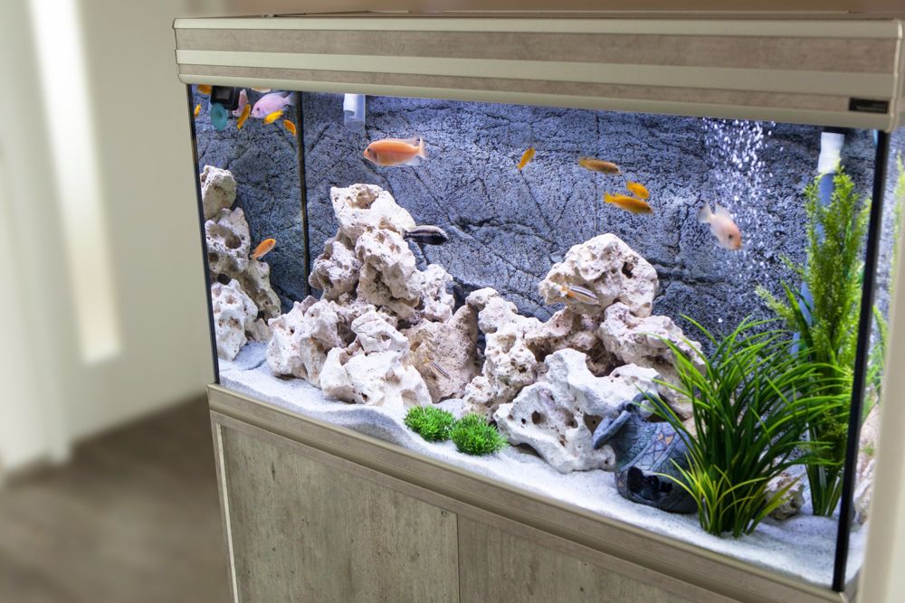 How To Make Aquarium Decor That Is Fish