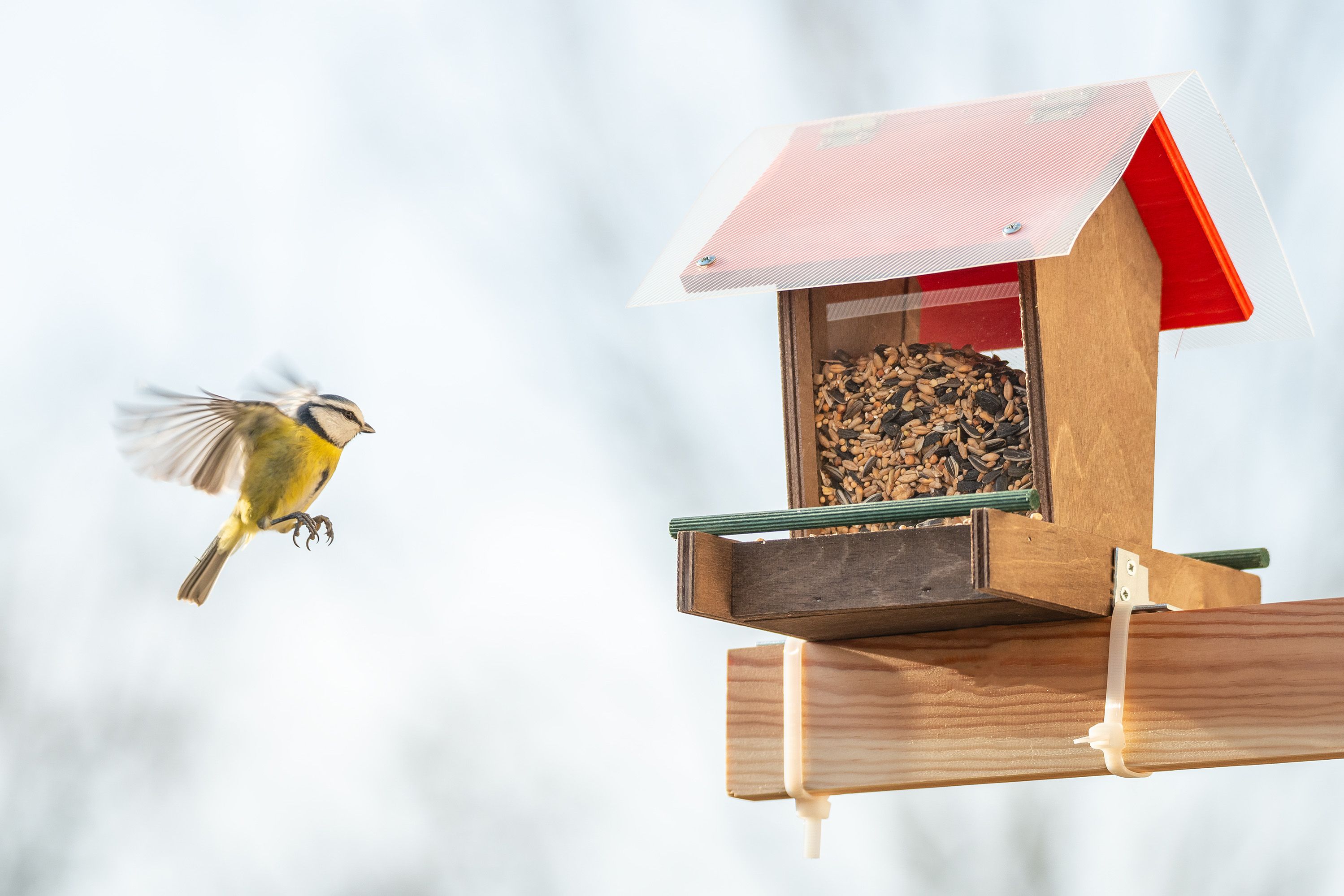 flat balcony ideas-bird feeder