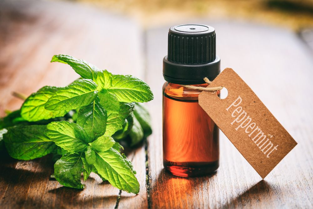 home remedies for rats-peppermint oil