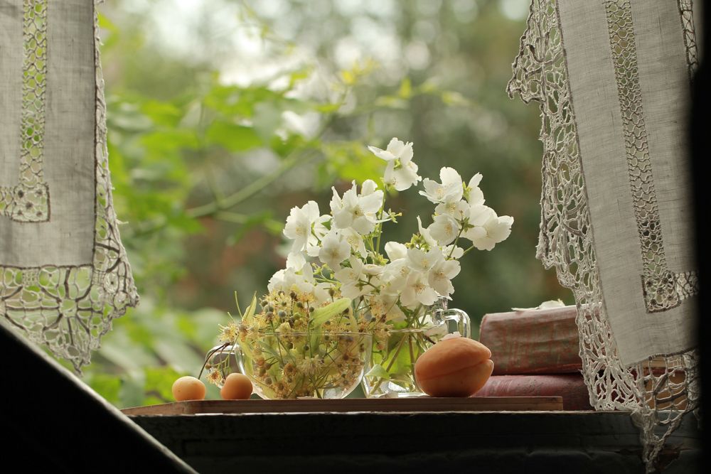 indoor flowering plants-white curtain-jasmine flower