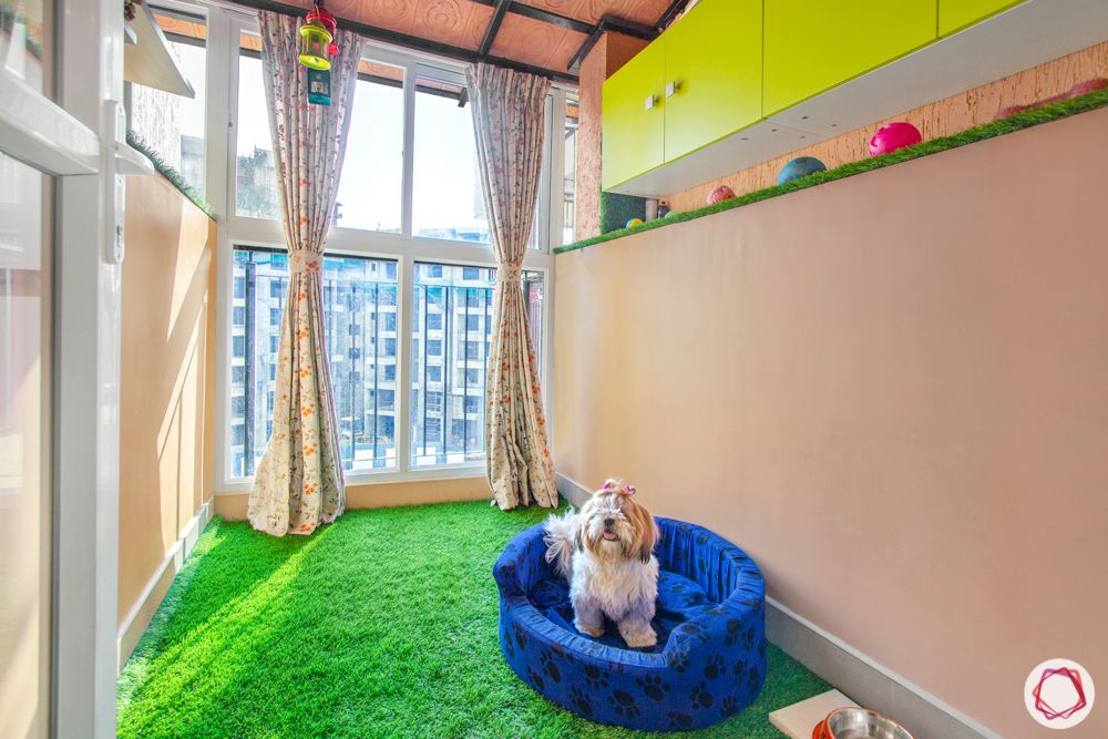 purva-highlands-dog-room-artifical-grass