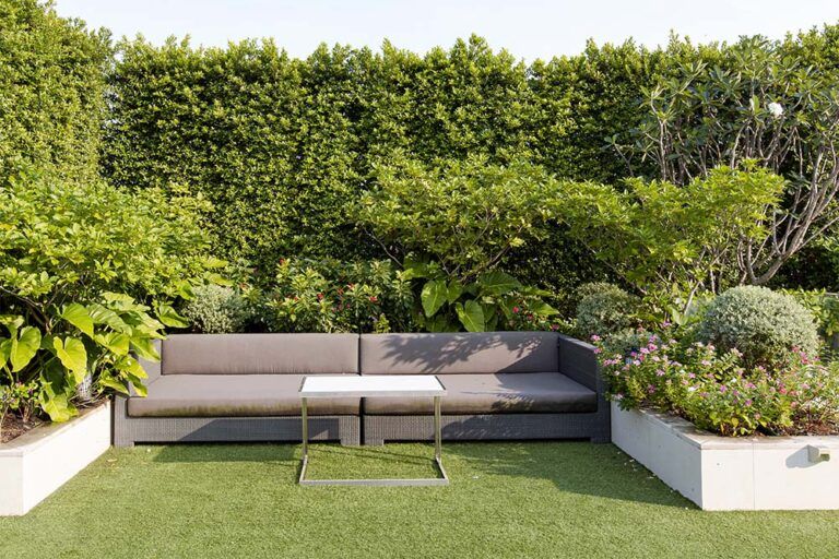 20 Creative Terrace Garden Ideas for a Green Dream at Home