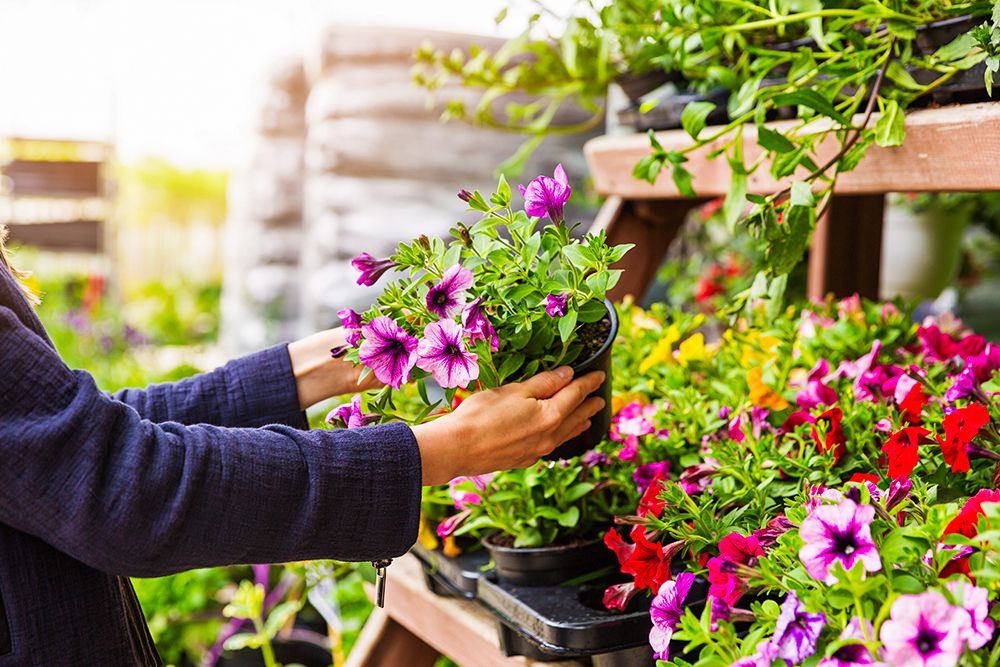 decorate-with-flowers-on-bench