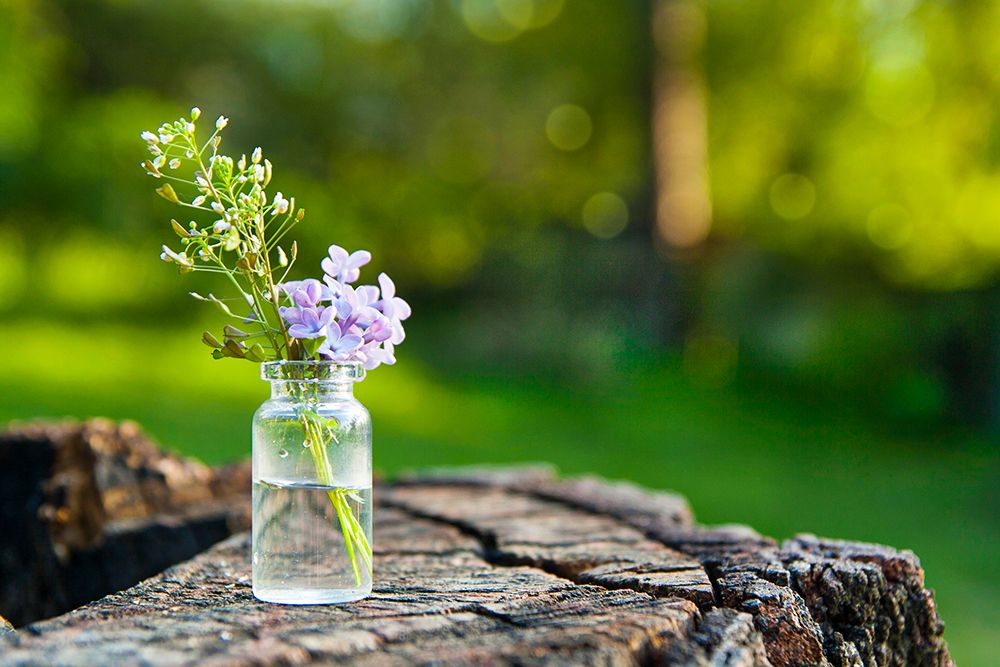decorate-with-miniature-flower-vases