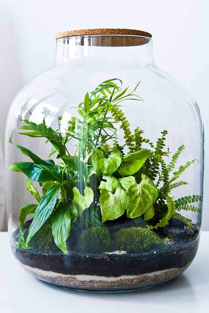 terrarium-home-decor