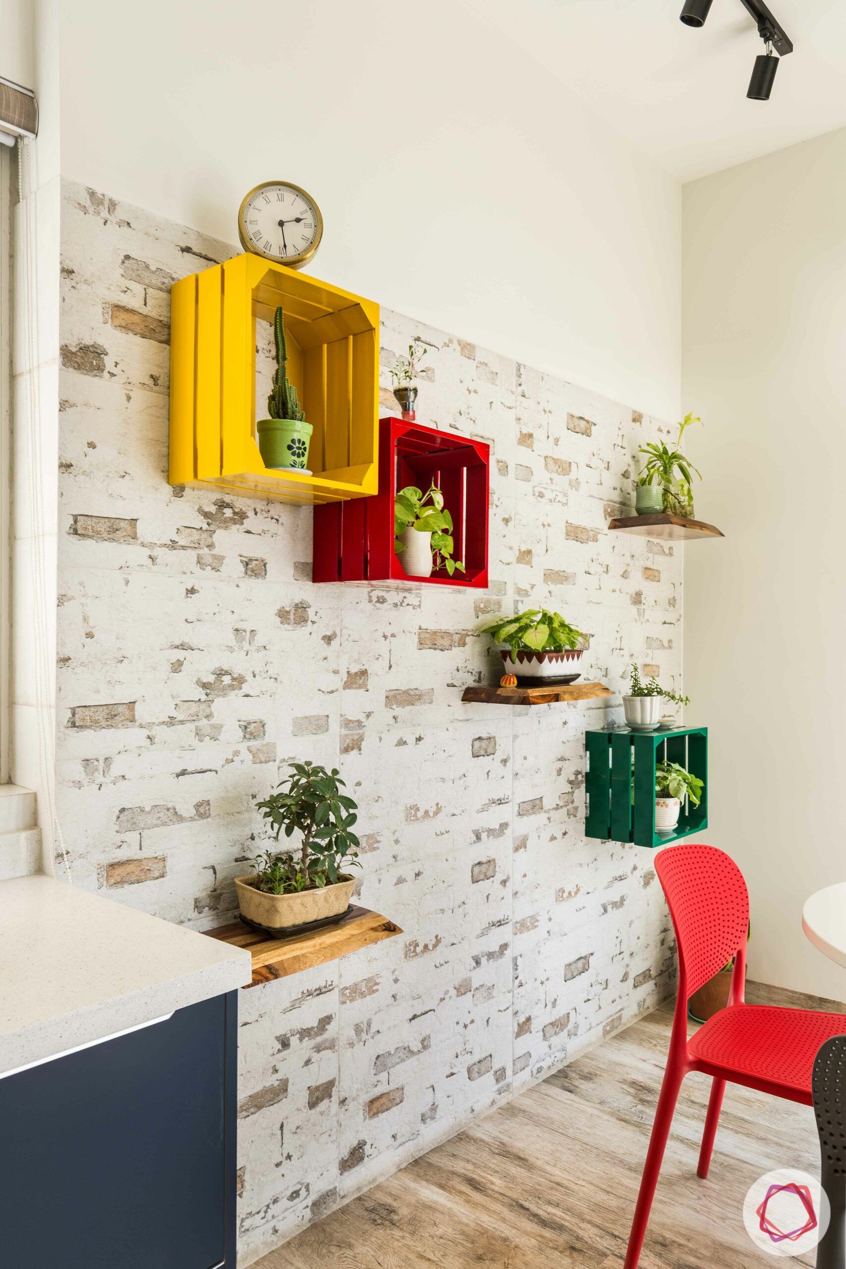 livspace gurgaon-wall-mounted plants-colourful shelves