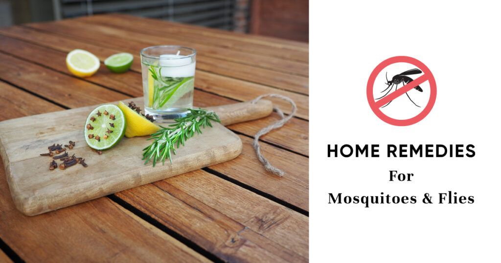 home remedies for flies