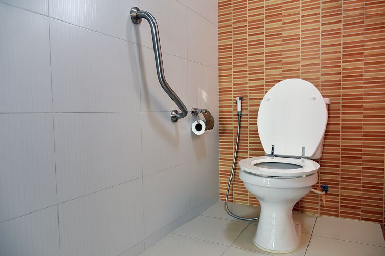 bathroom-ideas-toilet-rail-seat-for-elders