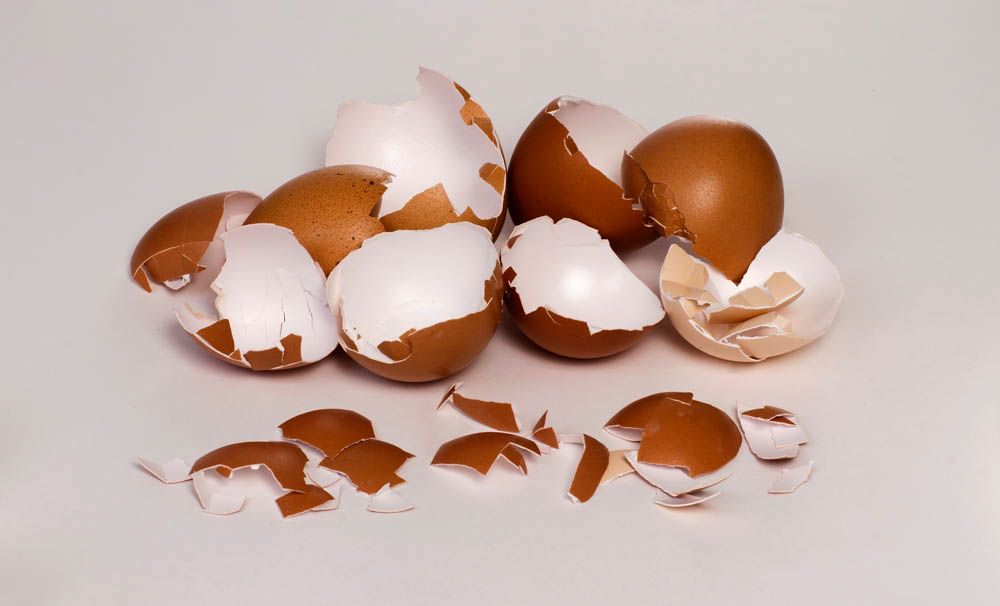 empty-eggshells