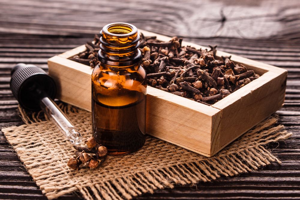 how-to-get-rid-of-small-insects-in-the-kitchen-clove