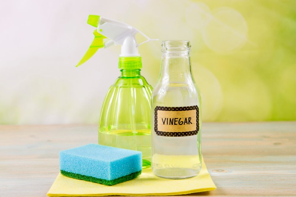 how to get rid of small insects in the kitchen-vinegar