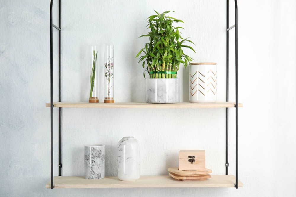lucky-bamboo-house-plant-hanging-planter