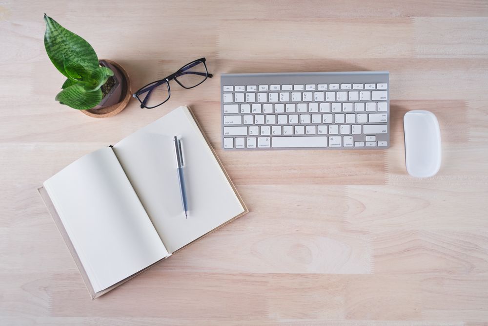 office-desk-plants-snake-plant