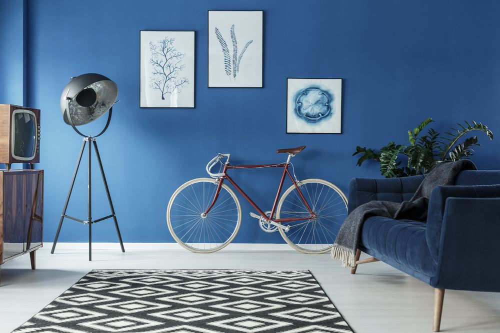 asian paints colour of the year-blue wall paint-blue sofa