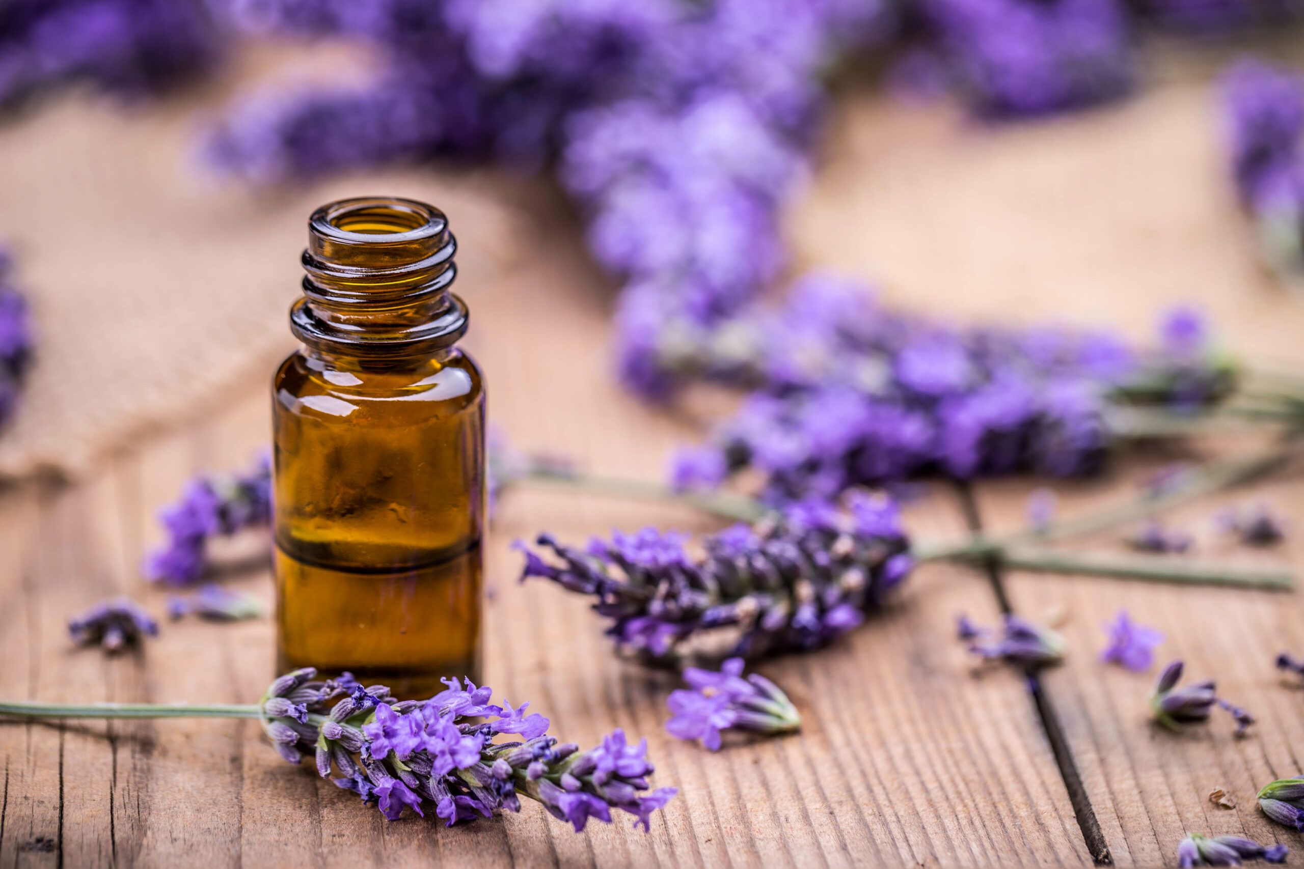 Alternative to Naphthalene Balls-Lavender oil