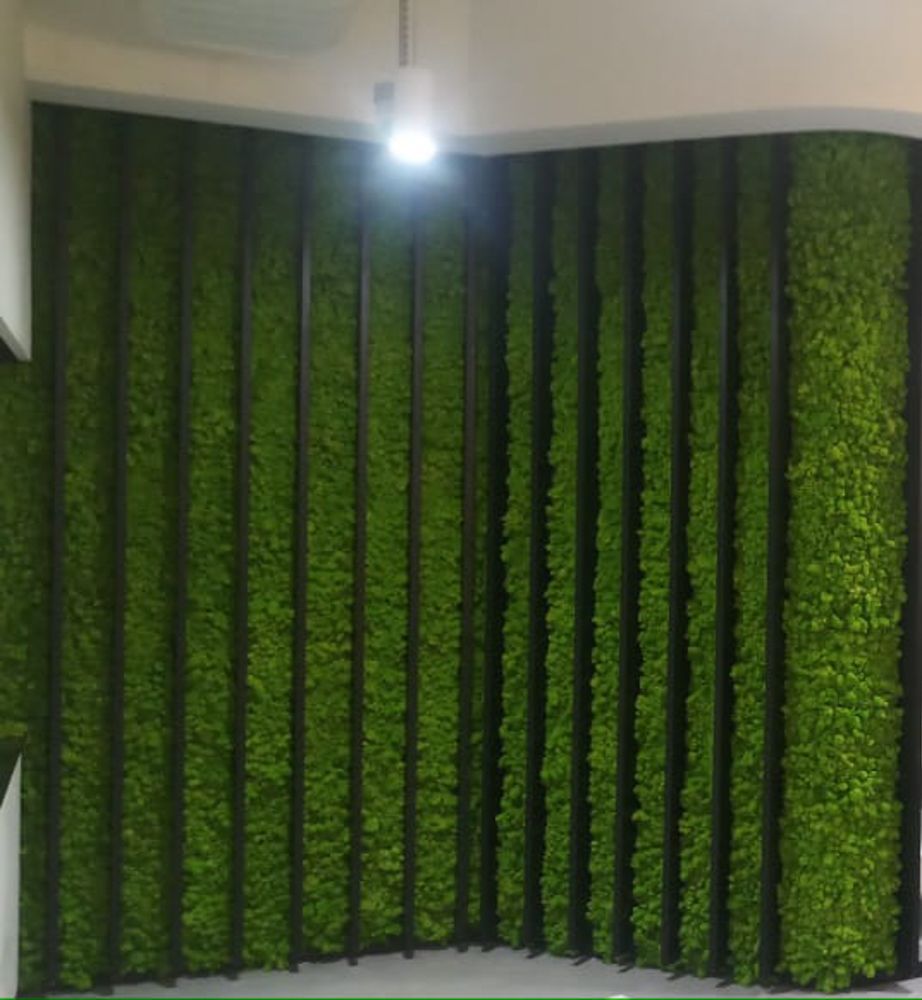 Moss Frame: 5 Reasons Why You Should Opt for Moss