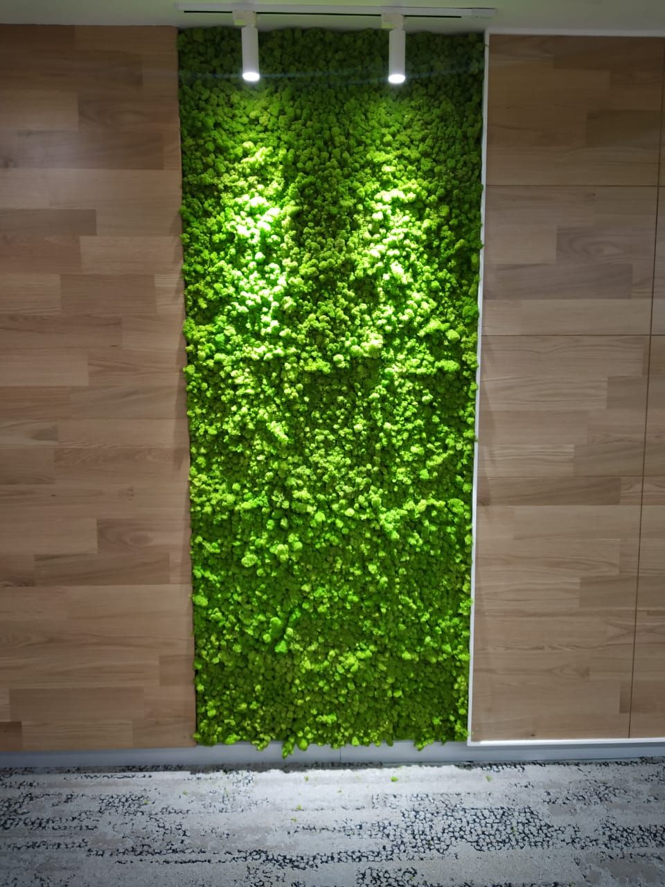 Moss wall-panel