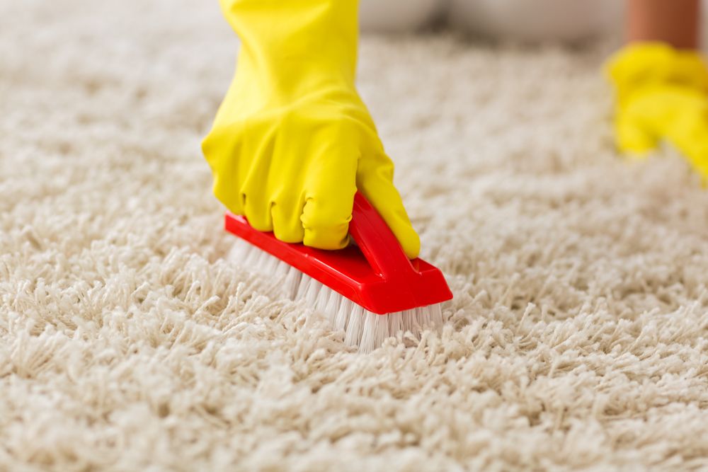 how-to-clean-carpet-brush-scrubbing-rugs