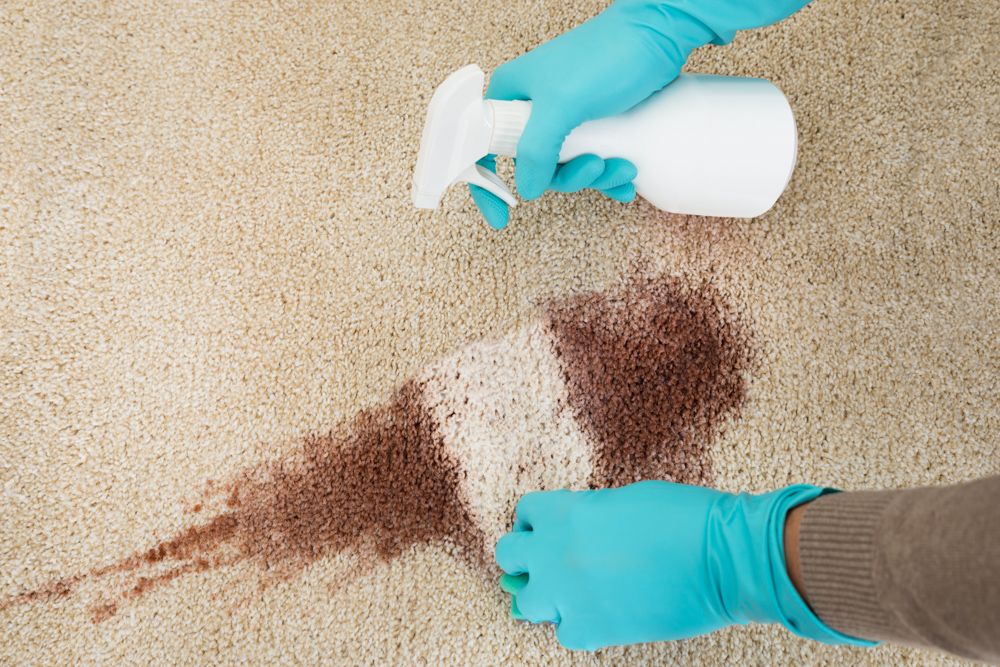 how-to-clean-carpet-spray-cleaner-carpet