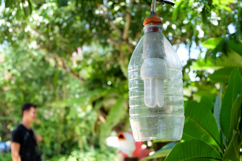 diy ideas for the home-plastic bottles-bulb and electricals-garden lighting
